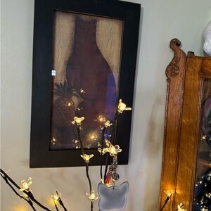 David Harden Cat and Pineapple Welcome Picture